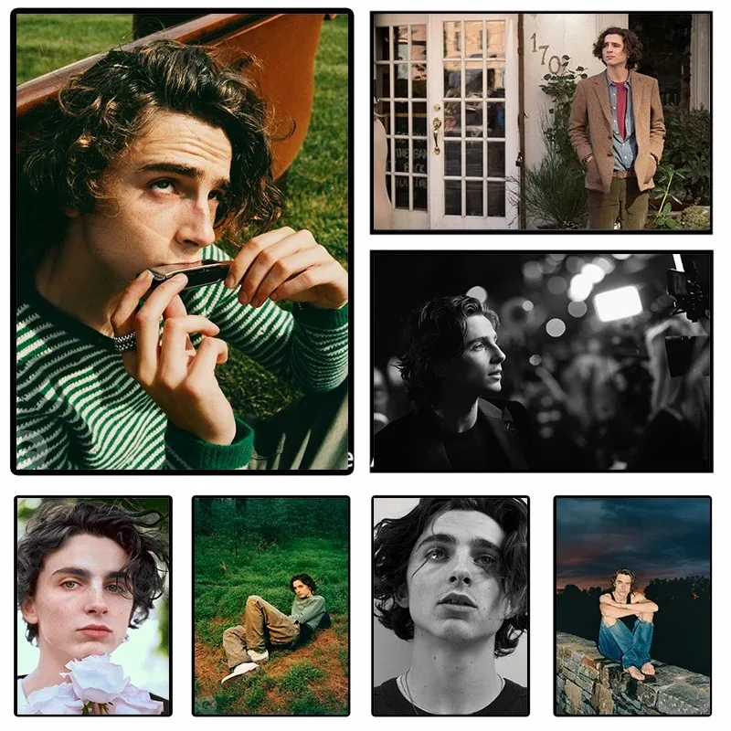 Timothee Chalamet Movie Plagáty hviezdneho plagátu Najlepší herec retro portrét maľba maľba nástenné umenie dekorácia domov obývacia izba dekorácia