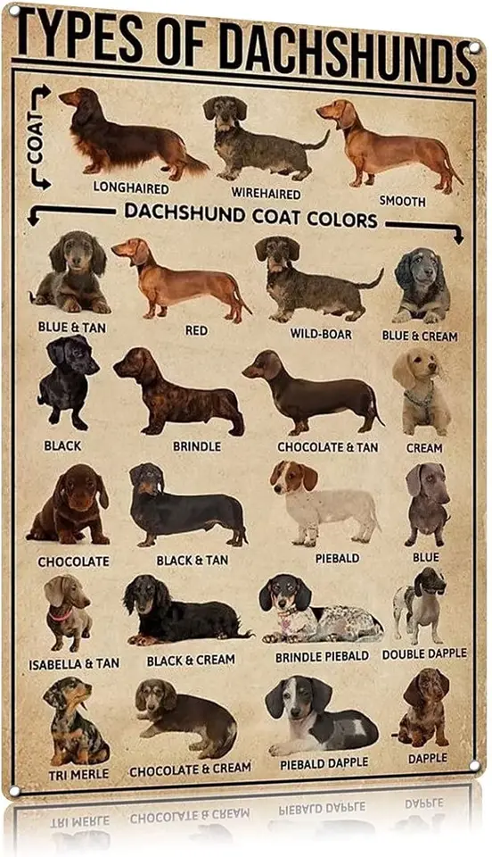 Tin značka kovová značka retro nástenná dekorácia pre domácu bránu záhradné bary reštaurácie Kaviarne Kaviarne Kancelária Kópia Klub Sign Sign Typy darčekov Dachs