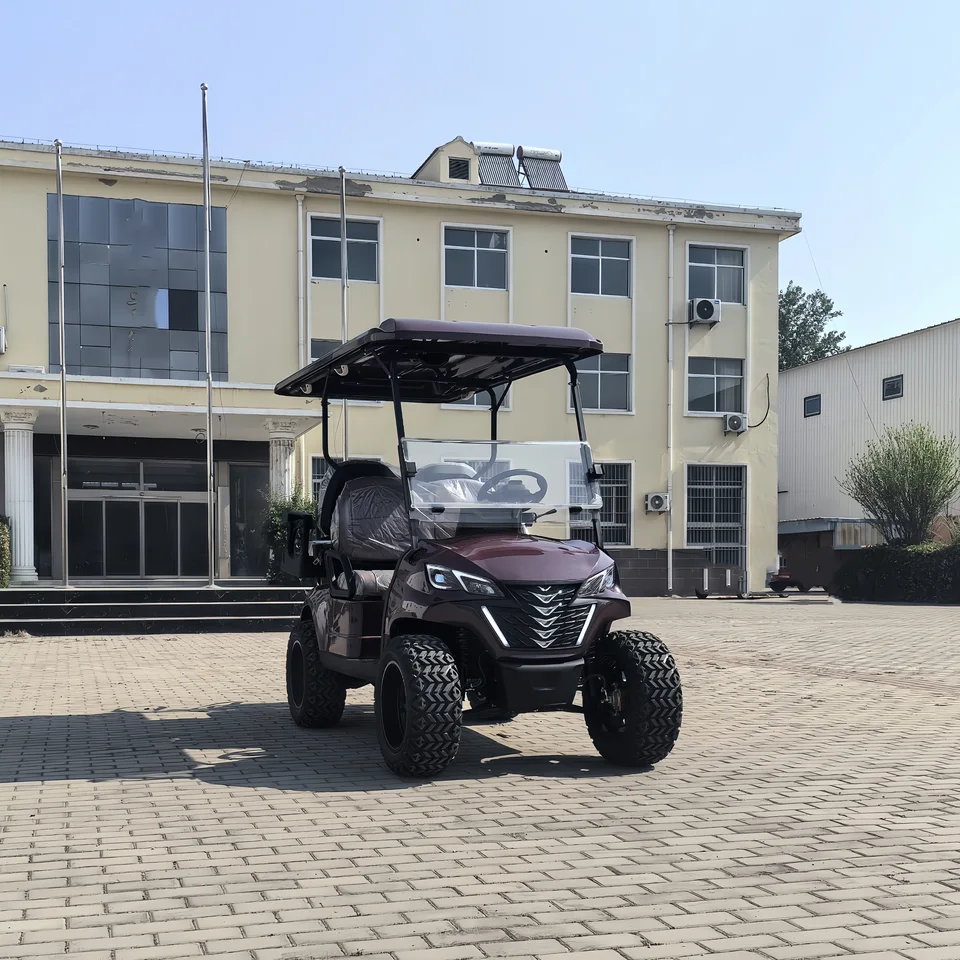 Továreň Direct Sell Golf Buggy 2 Wheel Electric Mini Mini Single Elektrický golfový vozík cena