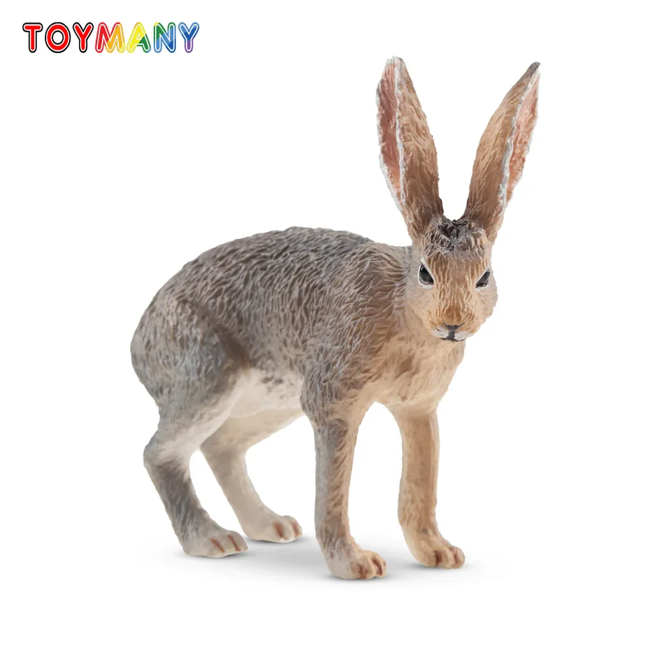 Toymany Simulation Antelope Jackrabbit Wildlife Animal Model Toy Mini figures Dolls Action figuríny hračky pre deti darček