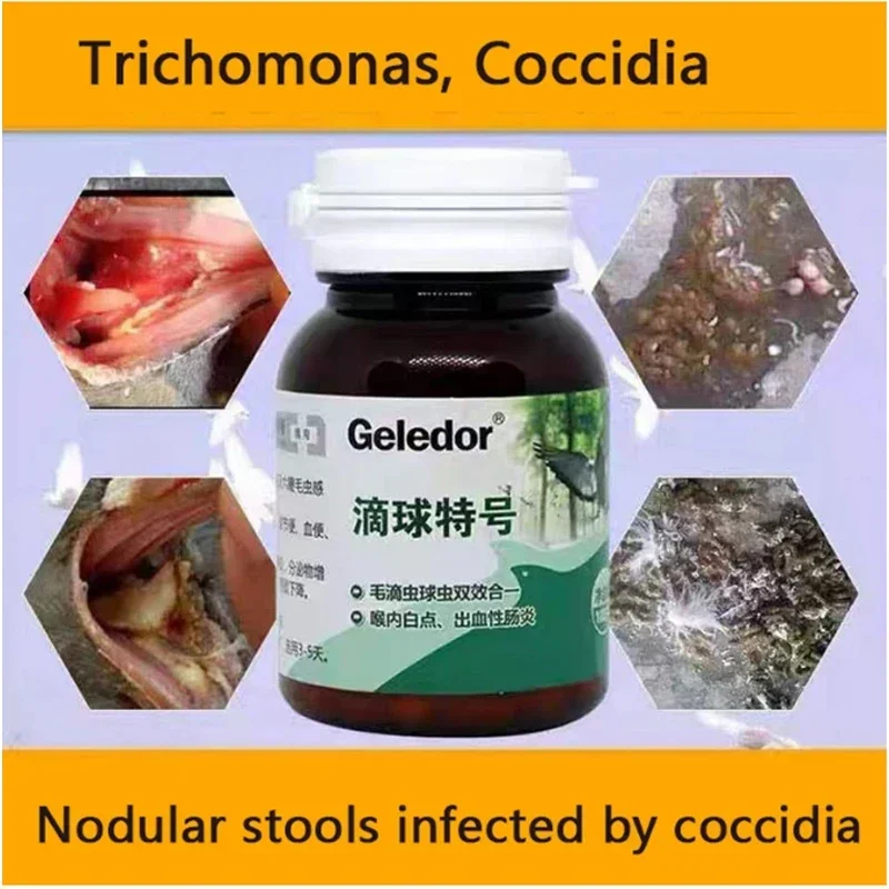Trichomonas Pigeon Coccidia Two-in-One Infekcia Nodulárna stolička Tráviace poruchy 100 tabliet
