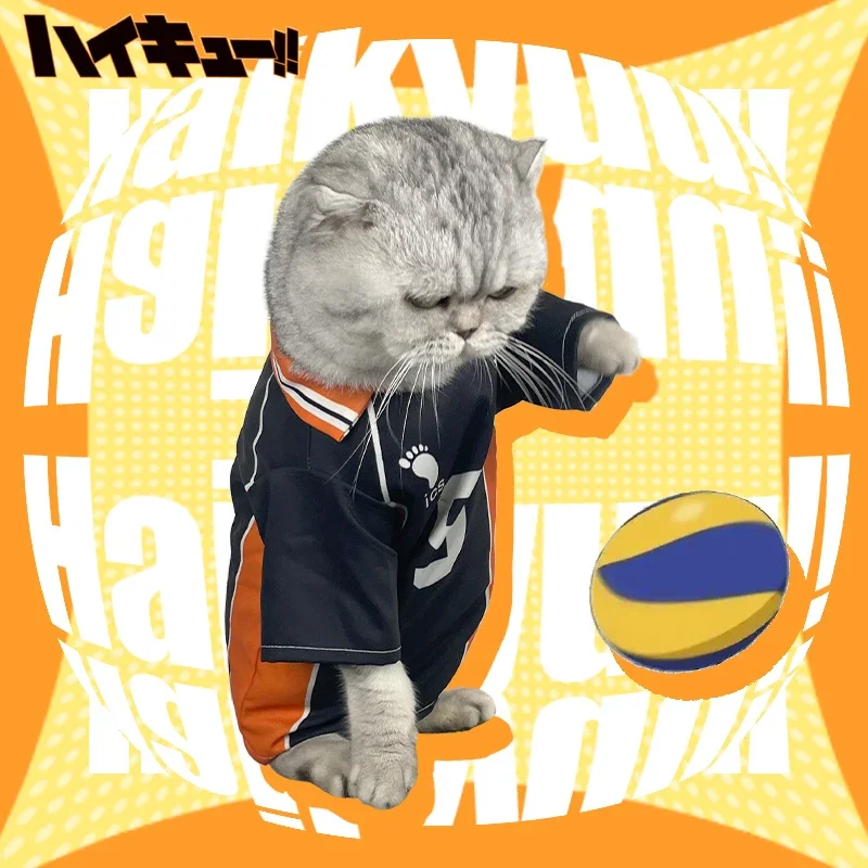 Tričko Hinata Kageyama Cosplay Uniforma cool kenma kozume kostým Pet pupky mačiatko mačiatko Halloween College Party kostým Photo kostým