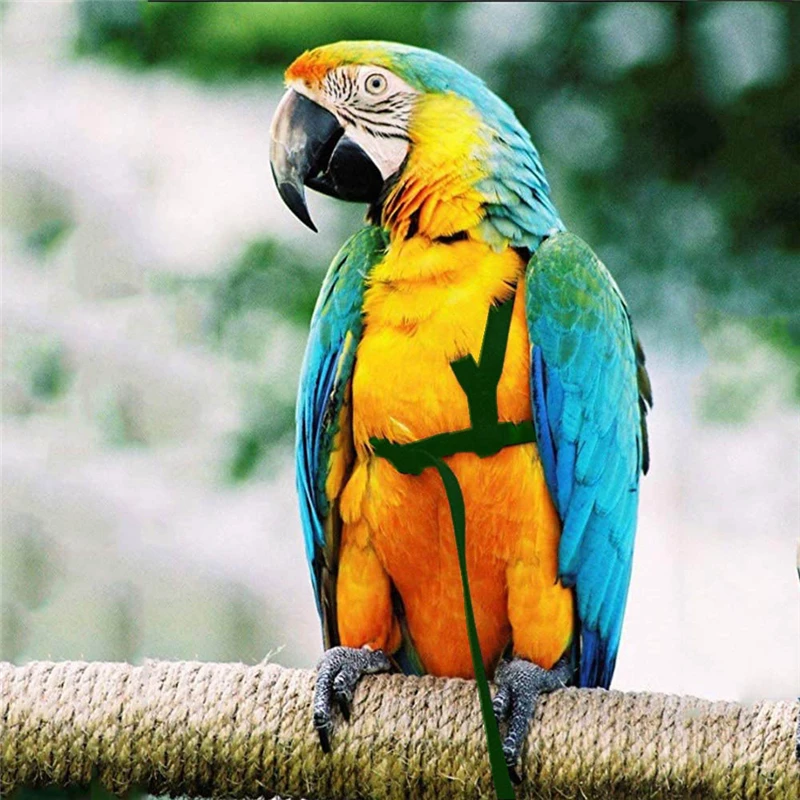 Tréning lietajúce trakčné lano anti-uhryznutie lano vtáka vodítko papagáj Parrot lietajúce lano Parrot postroj vtákov zväzok vodítko