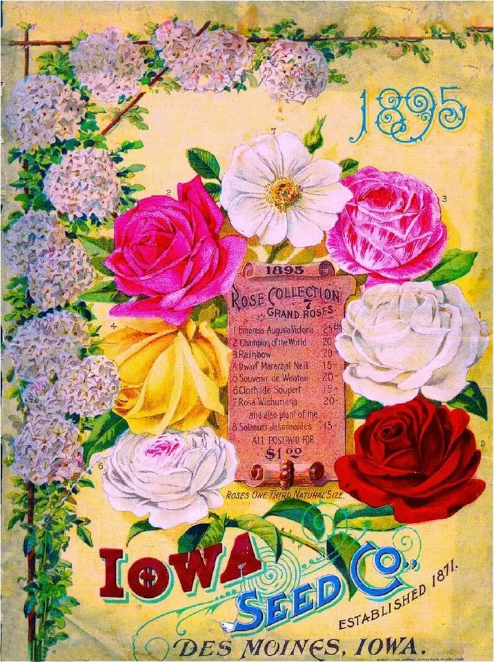 Tymall kovová značka nástenná tabuľa 1895 Iowa Seed Rose Rose Collection Vintage Flowers Seed Packet Reklama retro dekora
