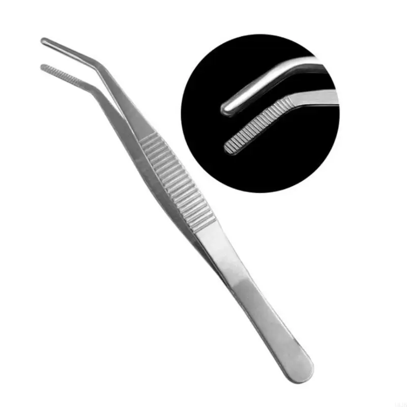 U1JB zakrivené kliešte z nehrdzavejúcej ocele Domov Dical Dental Plier