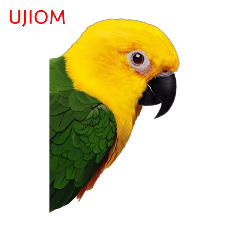Ujiom 13cm x 8,7 cm peeking papagáj roztomilé zvieratá 3D nástenné nálepky pre deti Domáce dekorácie okná Nálepky detská detská miestnosť tapety