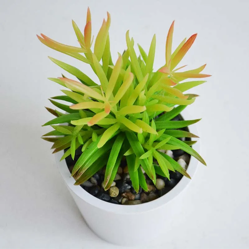 Umelé mini sukulenty okrasné vždyzelené dekoratívne keramika Malé sukulentartardiálne rastliny bonsai