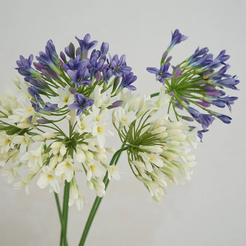 Umelý plastový agapanthus kvety pobočka falošná lotosová kvetina svadobná domáca dekorácia