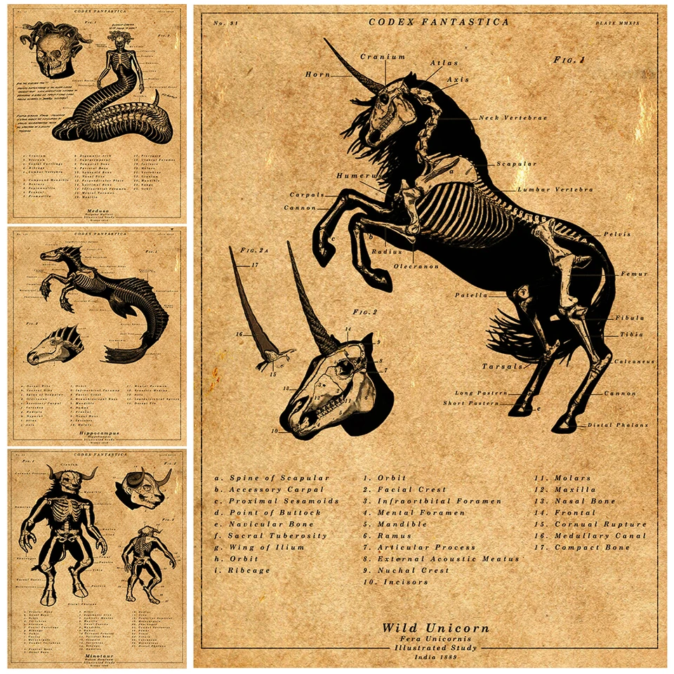 Unicorn, Medusa, Minotaur, antropoidná kostra vedecká anatómia plagát a tlač retro tajomnej vedy o zvieratách dekorácie nástenné umenie