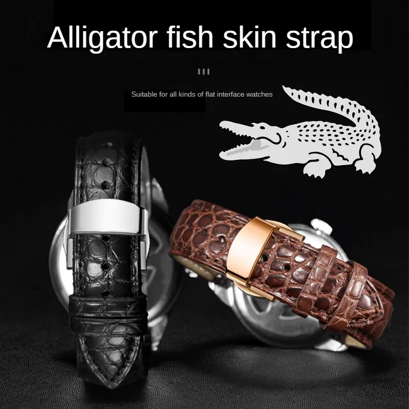 Universal Crocodile Leather Watch Band 12/13/11/11/112/111/21/21/21/22212215 mm