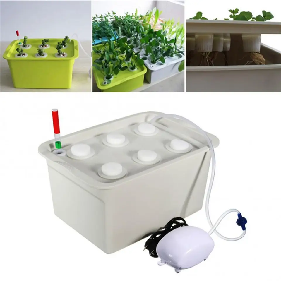 V interiéri 6 jamiek Hydroponický systém Soilless Plant Plant Plant Box Grow Kit горшки для рассады гидропоника система Hidropon