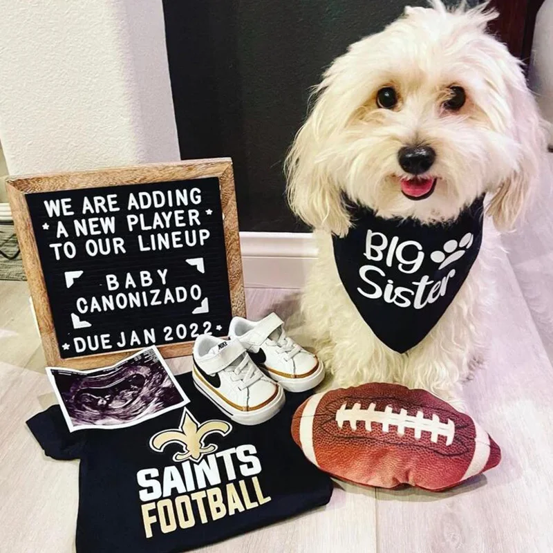Veľká sestra brat Dog Bandana Tehotenstvo oznámenie Dimata Dimatu Darček Nové šteniatko Gotcha Day Gender Odhalenie dekorácie Photo rekvizity