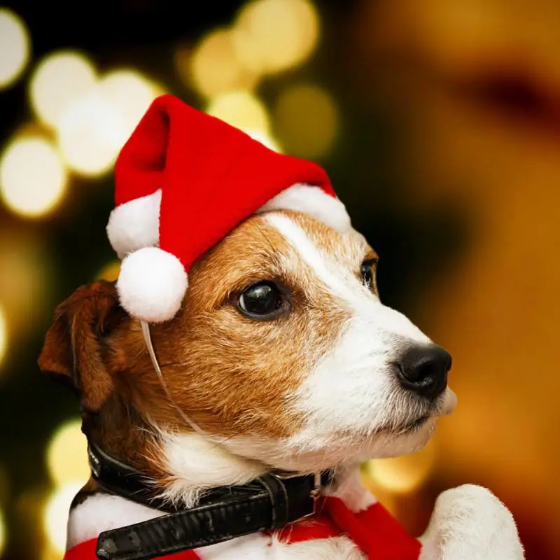 Vianočné domáce zviera klobúk santa claus klobúk pre mačky psy Puppy vianočné dekorácie novoročné večierky Dodávky domácich miláčikov