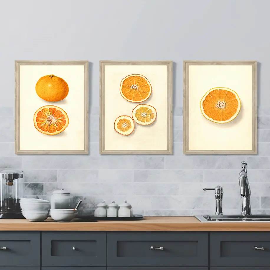 Vintage Fruit Orange Citrus Citrus Set s 3 plagát tlačenou stenou obrázky plátno maľba obývacia izba spálňa domov dekor darček