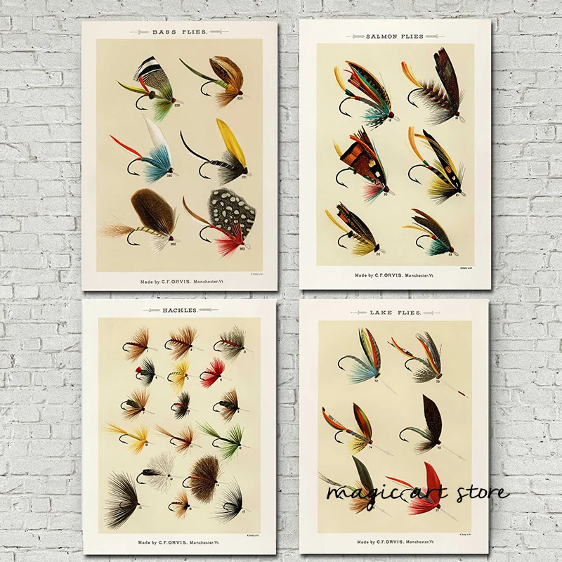 Vintage pstruh rybie rybárske ilustrácie ilustrácie