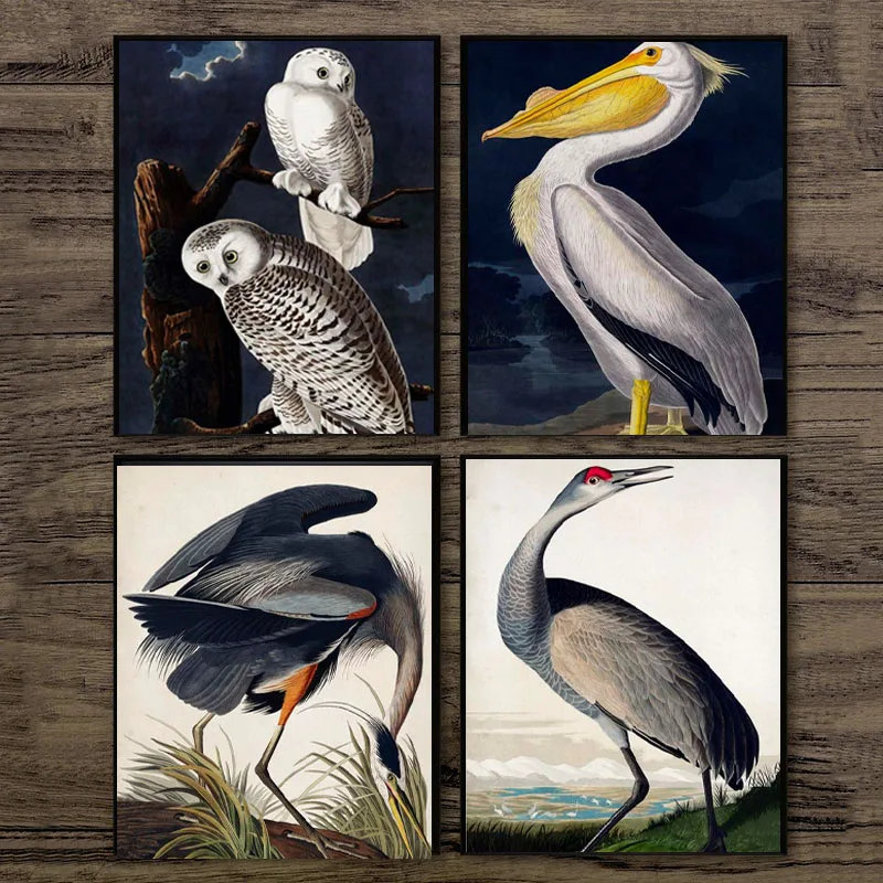 Vintage vták Audubon vták maľba maľba ružové plamenia