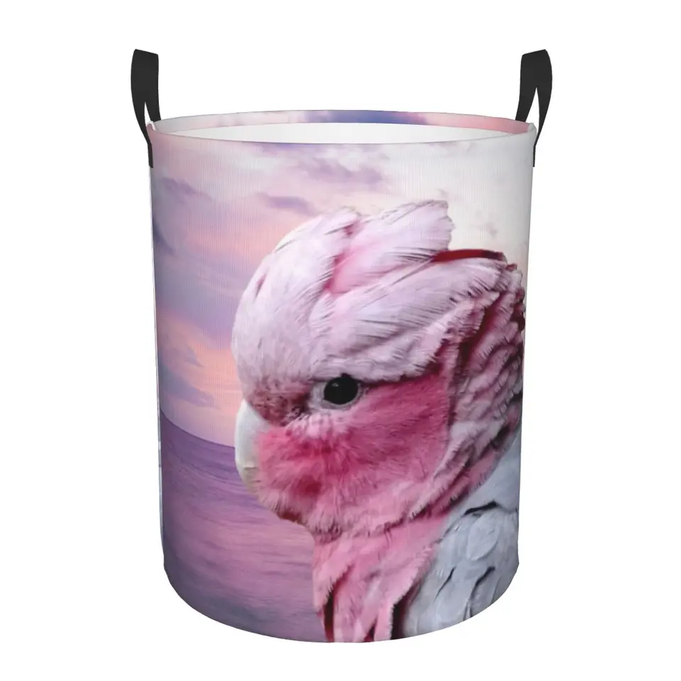 Vlastný papagáj Galah Cockatoo Práčovňa Kôš skladacie vtáky prekážky pre detské detské hračky Storage Bin