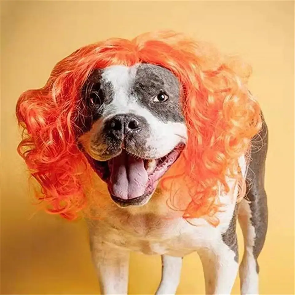 Vtipné domáce zvieratá parochne buldog chihuahua cosplay kostým roztomilé psi mačky krížové šaty parochňu klobúk klobúk šteniatko hlavy Perros Dog Accessories