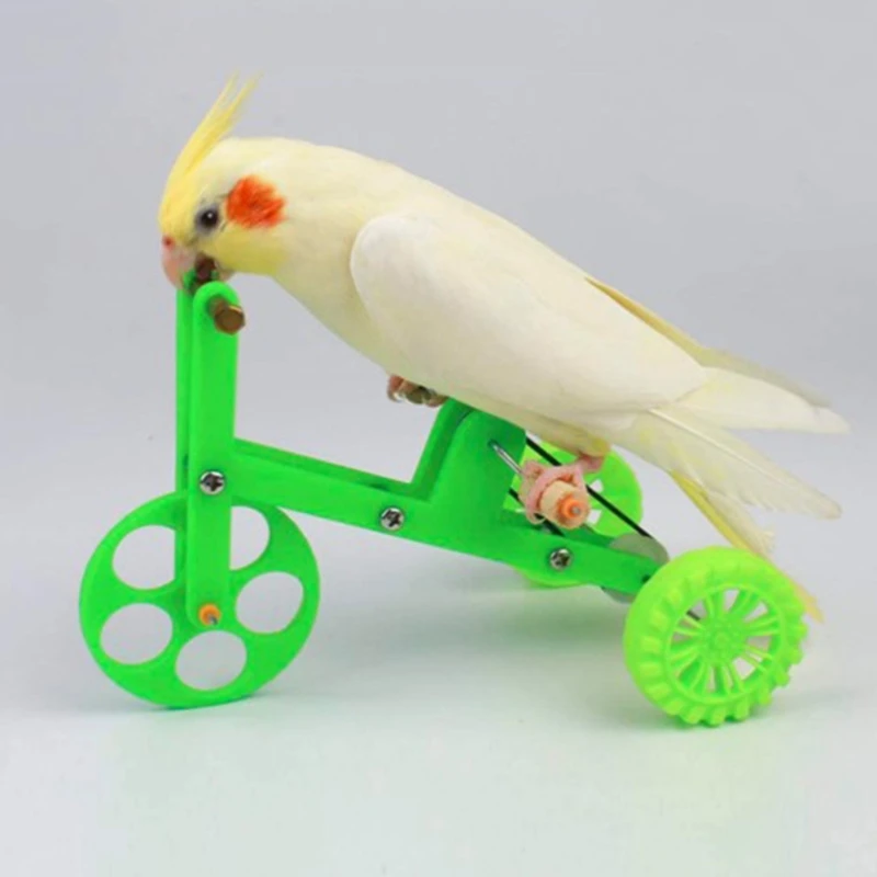 Vtipný papagájový bicykel hračky Birds Training Placething Supplies Vzdelávacie interaktívne rekvizity pre papagáj Cockatiel Conure Lovebird
