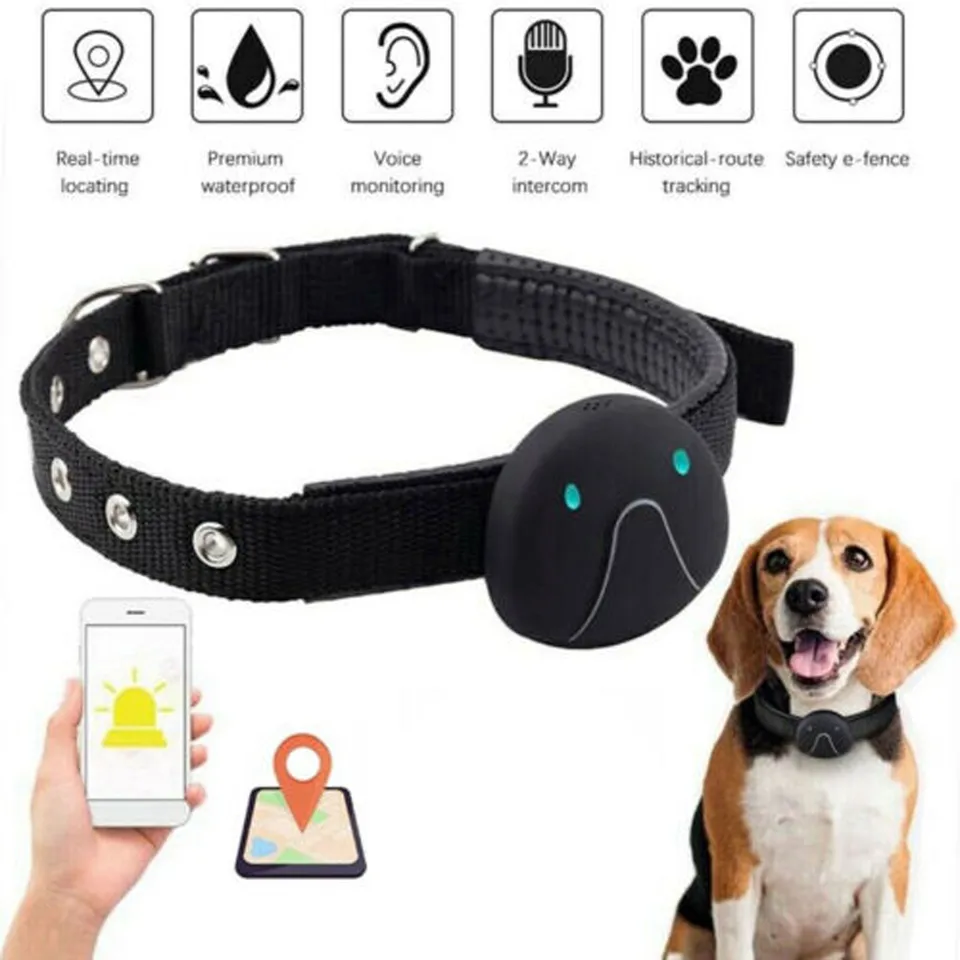 Vyhľadávač Pet GPS, sledovač PET, zariadenie proti strate, lokalizátor Mini Pet, inteligentný nositeľný pes s vnútorným lokalizáciou Pet Lookator ABS+PVC
