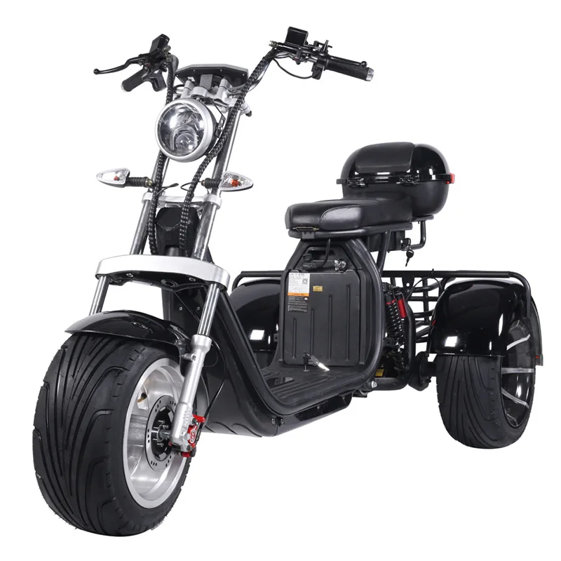 Vysokorýchlostné 3 kolesové elektrické motocykel 2000/3000 W 64 V vysoké ložisko lítium Battery Trekking Electric Tricycle Motocykel