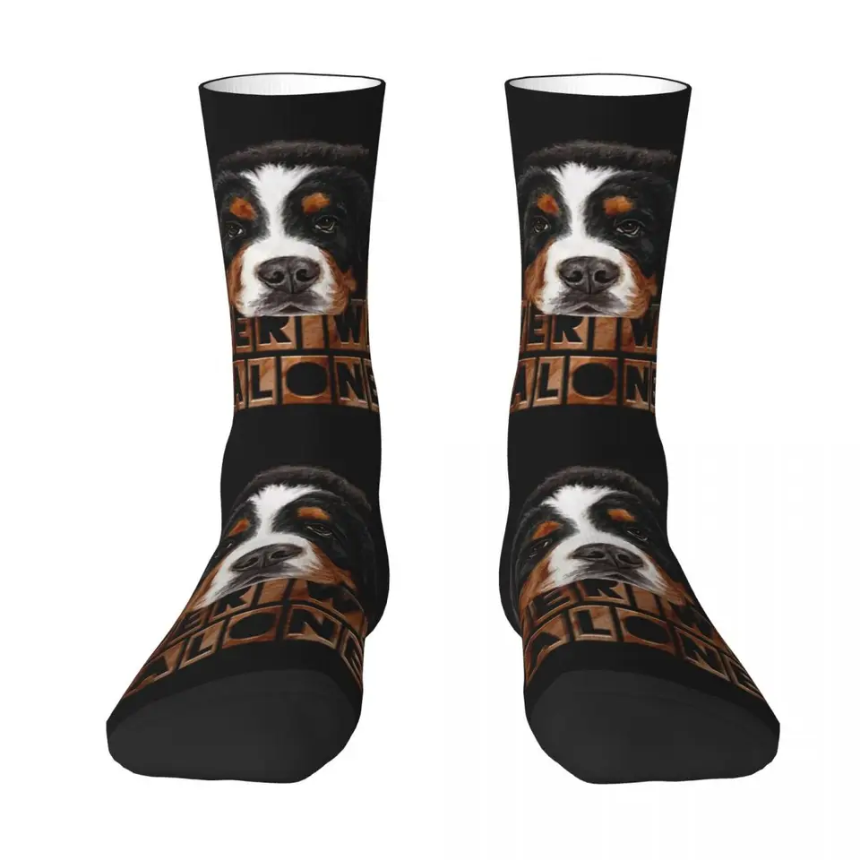 Všetky sezóny pančuchy posádky Bernese Mountain Dog ponožky vtipné hip hop dlhé ponožky doplnky pre mužov Ženy vianočné darčeky