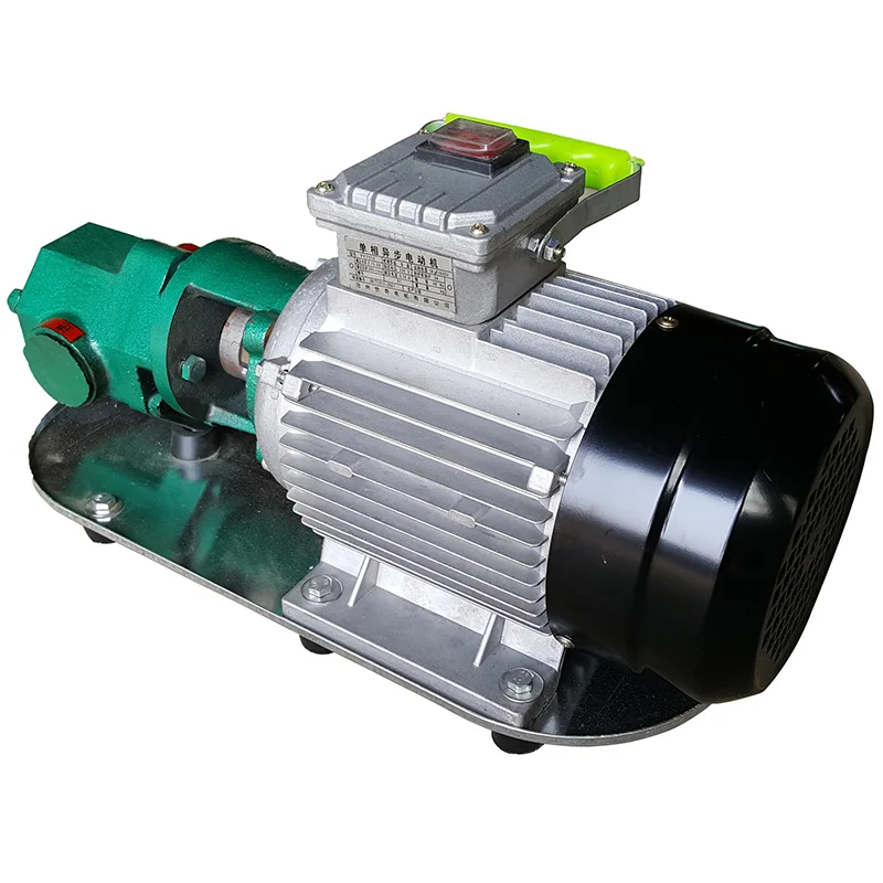 WCB-75 Samoliečovacie prevodové prevodové čerpadlo prenosné liatinové čerpadlo Vysokoteplotné elektrické prevodové čerpadlo 750 W Malé vysoké viskozitné olejové čerpadlo 220V