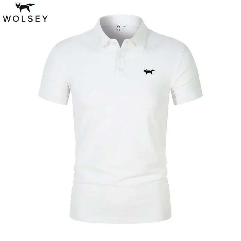 Wolsey Golf Summer Men Polo Tirle Casy krátke rukávy High-end pletené tričko Golier perforovaný dizajn módna priedušná košeľa