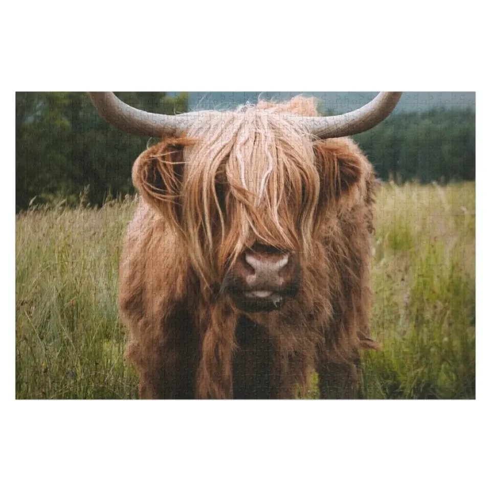 Wooly Cow - škótsky highlandský hovädzí dobytok v Škótsku Jigsaw Puzzle Custom Kids Hray Prispôsobené detské darčeky Puzzle