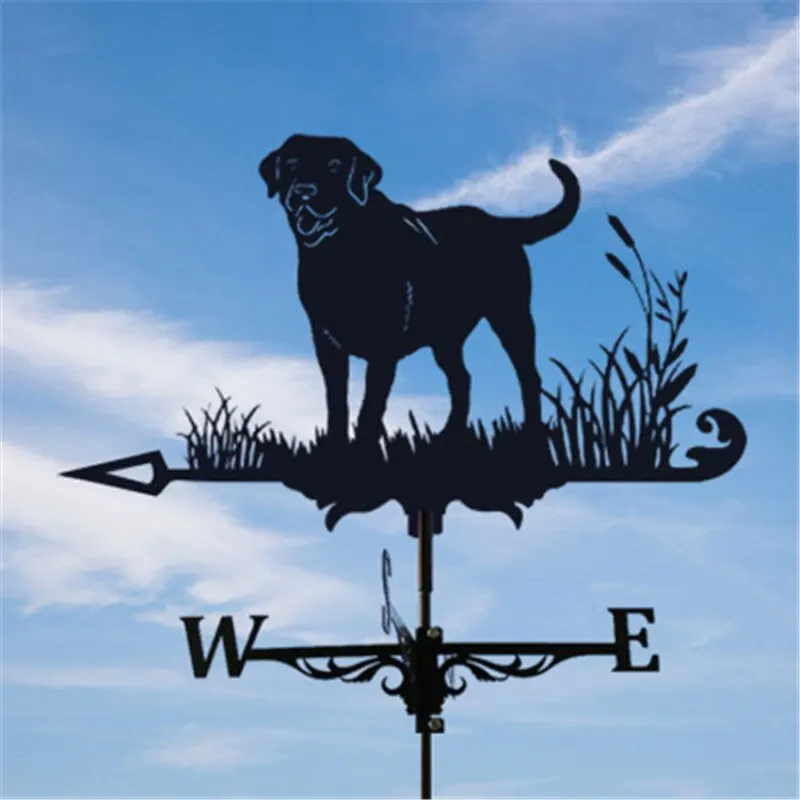 Z nehrdzavejúcej ocele kohúta Weathervane počasie lopatk