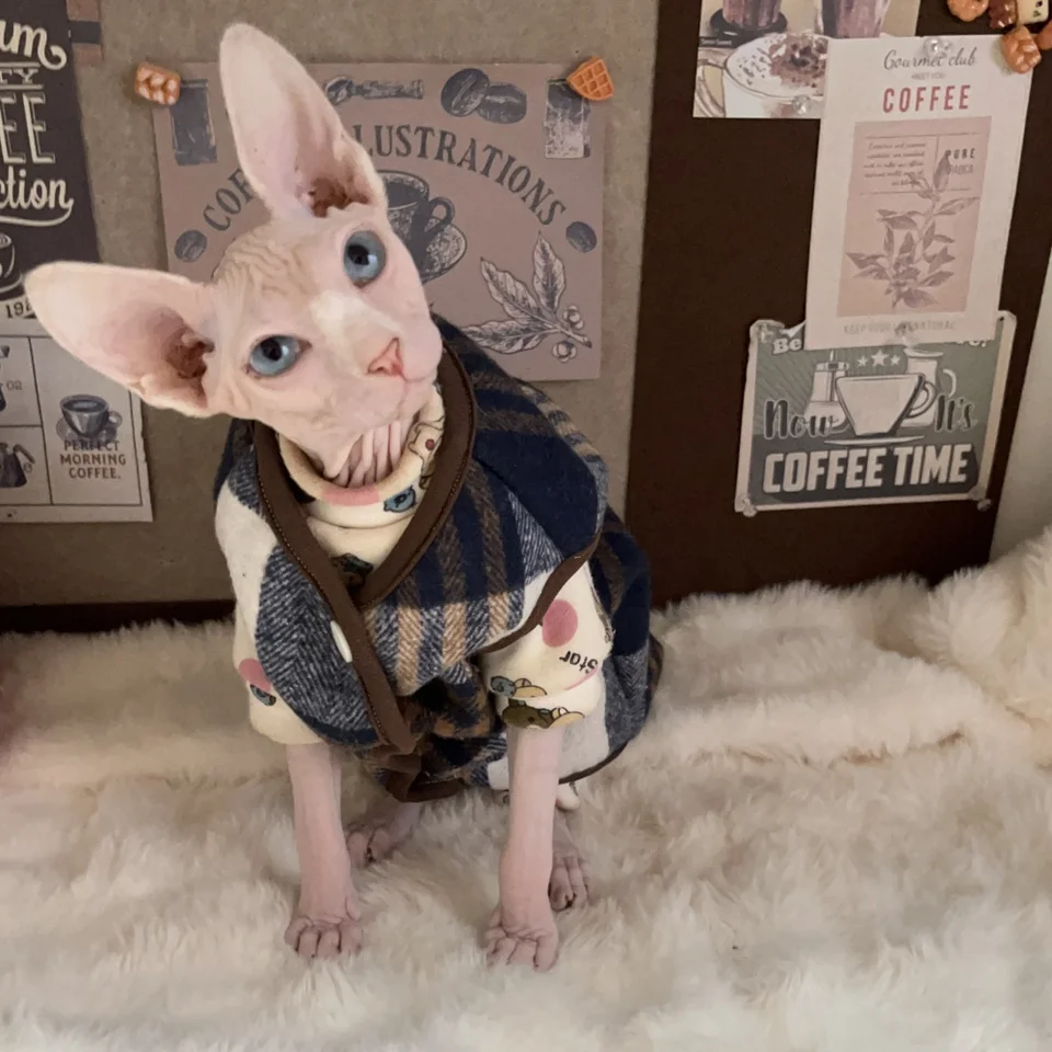 Zima hrubá šedá kockovaná bunda fleece pre bezsrstú mačku teplá mäkká vesta pre sphynx mačku Devon rex jesenné oblečenie pre mačiatka