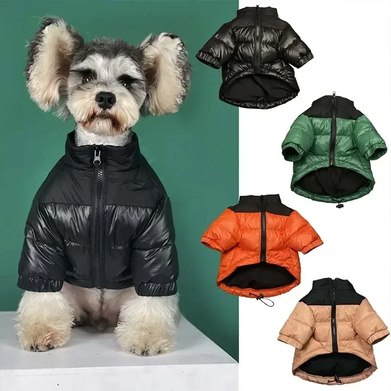 Zimný francúzsky buldogový kabát domáce zvieratá oblečenie pre malé psov oblečenie francúzskeho buldočka Warm Down Down Bunda Pes Doplnky PC2034