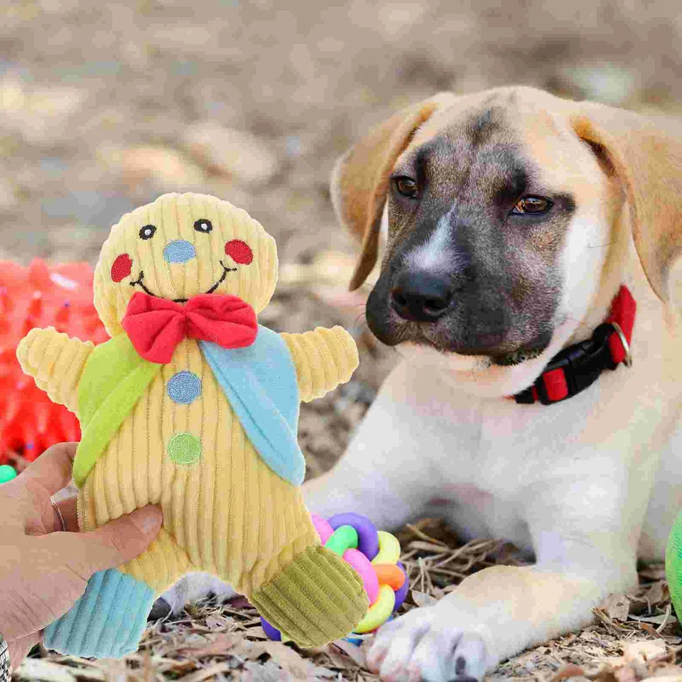 Zlatý retriever perník