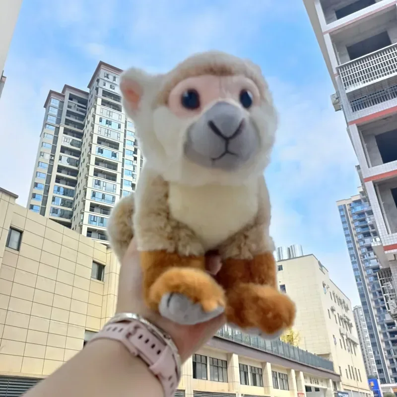 Zoo 43 cm simulácia Lively Squirrel Monkey plyšová hračka Soft Monkeped Animed Animal Karneval Doll Birthday vianočný darček pre deti