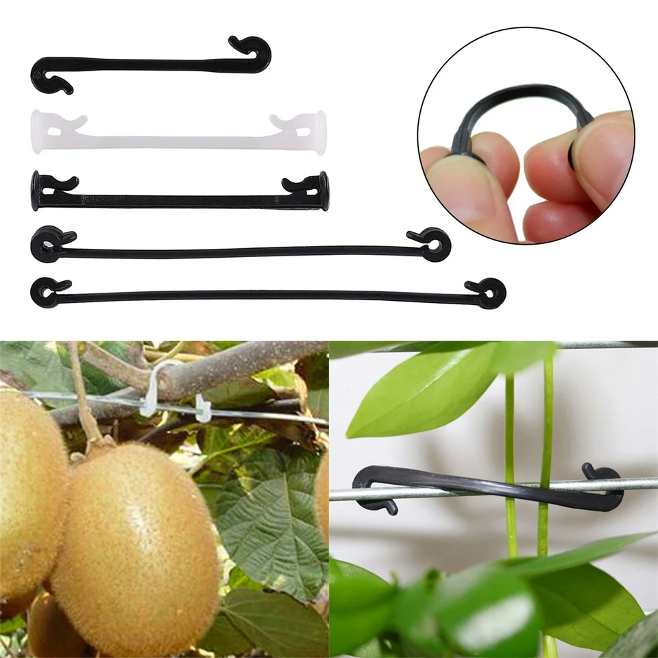 Záhradná rastlinná pripevňovacia klip Kiwi Grape Cucumber Cucumber Tomato stonka Viazanie svorky Zasiahnutá spona na lezenie Gadget 100/1 000 pcs