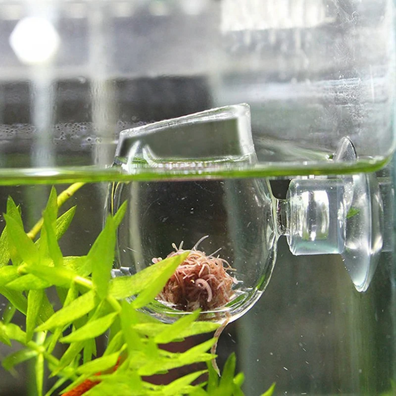 Závesné sklo Kŕmenie šálka Fish Tank Feeder soľanky Krevety Vajcia Červené červy Potraviny pre akvárium Fish Tank Kŕmenie misky Príslušenstvo