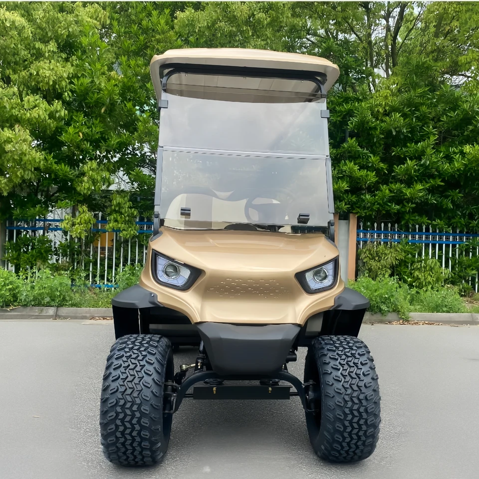 Úplne nový 48 V 48 V 48 V 48 V OFFROAD ELFEKTRICKÝ GOLF Multifunkčný košík s vysokým výkonom