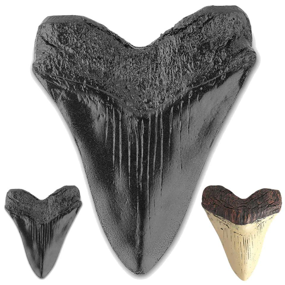 Čierne žralokové zuby fosílne 5 palcov obrie megalodon zub ľahké čisté živice Žralokové zuby námorné bológia výučba rekvizity pre deti dieťaťa