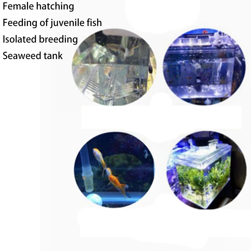 Čistá ryba na chov nádrže liahne Hatchery inkubátor akvárium priehľadná izolácia chovateľov visiaci závesný krabic