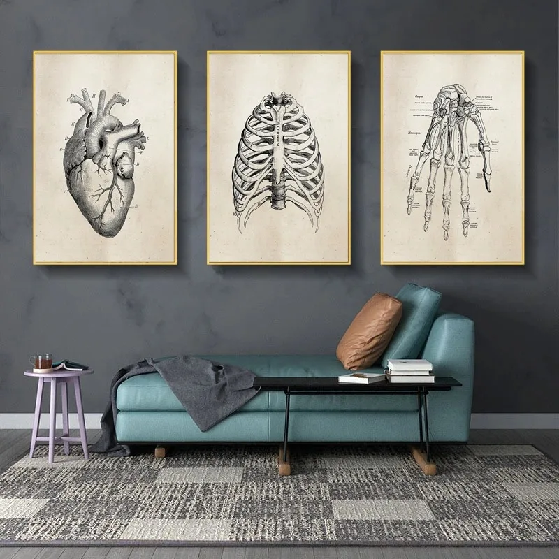 Ľudská anatómia lekárska anatómia veda Vintage Plagáty Art Canvas Print lekár lekárka klinika nástenná dekorácia obrázky plátno maľba maľba