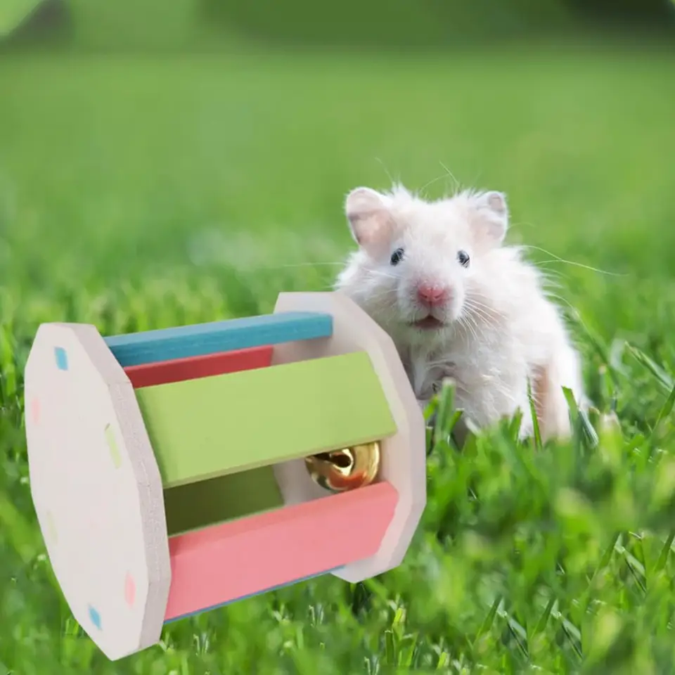 Škrečkové hračky na škrečky Klietky Klietky Doplnky domácich miláčikov DIY Cvičenie Cvičenie Dúha Gerbils Rats