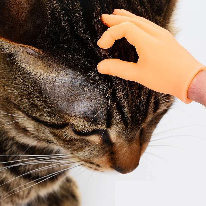 Škádlivé mačacie plastové rukavice prsty ľudská falošná ruka mačka Interaktívne hračky Caress Cat Hračky pre psie hračky Little Hand Pet Cat Supplies