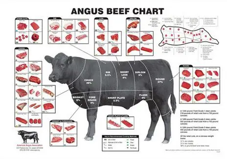 Štyri štýl Vyberte si mäsiarske hovädzie mäso hovädzie mäso Cuts Animal Charm Diagram mäso, umelecký hodvábny plagát, výzdoba domácej steny