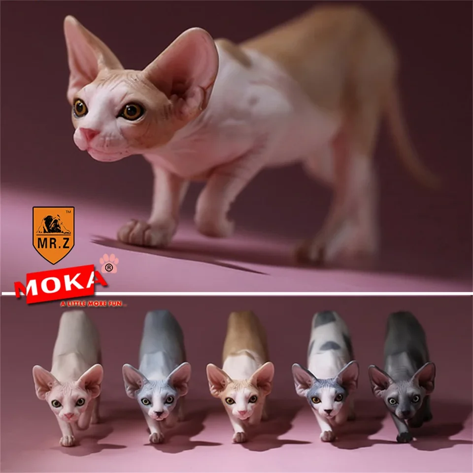 Štúdio Mr.Z 1: 6 Kanadské bezsrsté postava Sphynx Cat Pet Animal Model Collector Collector Toy GFIT Simulation Home Decoration Ozdoby