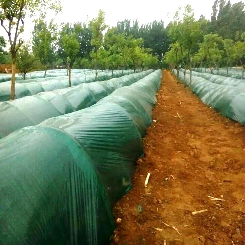 Šírka 1 m: 1 m 1,2 m 2m 2 m zelený film Planting Planting Mulch Film Greenhouse Film Greenhouse Film Young Rastliny Ochrana Leting