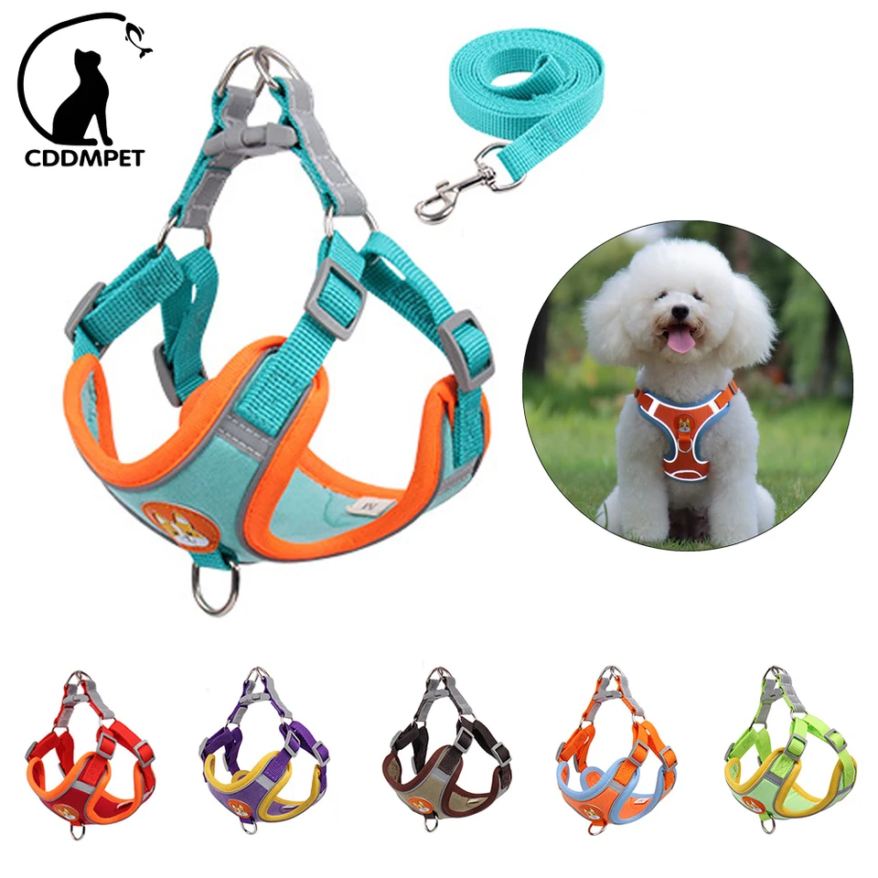 Žiadny Pull Pet Dog Postroj a vodítko nastaviteľné nastaviteľné šteniatko šteniatka Vesta Reflex Walking Olovo vodítko pre malých psov chihuahua