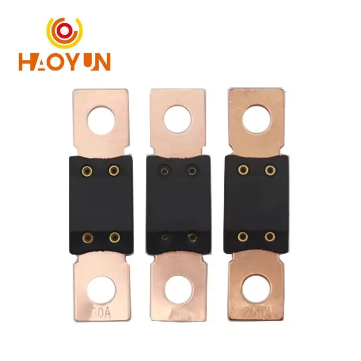 【5-2pcs】 30a 50a 60a 80a 100a 125a 175a 150a 200a 250a - 500a Mega Fuse Auto poistka automobilu Motorcycle Blade poistky pre littefuse